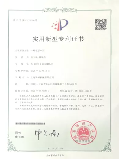 一种电子水泵